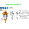 Pa lăng xích điện 10 tấn KITO ER2-100S