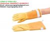 Găng tay chống thấm nước chịu nhiệt độ thấp AS ONE CRYOLITE10
