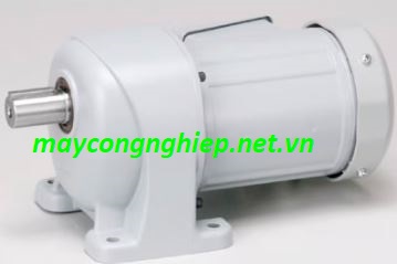 Motor giảm tốc Nissei chân đế 3 pha 200V G3L22N60-MM01TNNTN