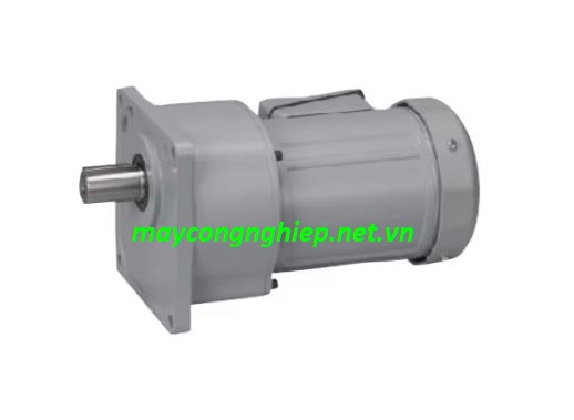 Motor giảm tốc Nissei mặt bích 3 pha 200V G3K28N60-MM04TNNTB2